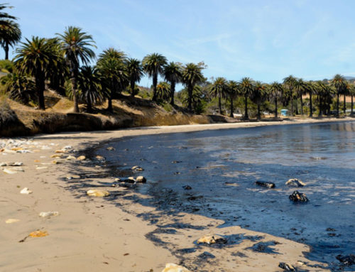 PCBT: $70M Refugio oil spill deal gets tentative OK